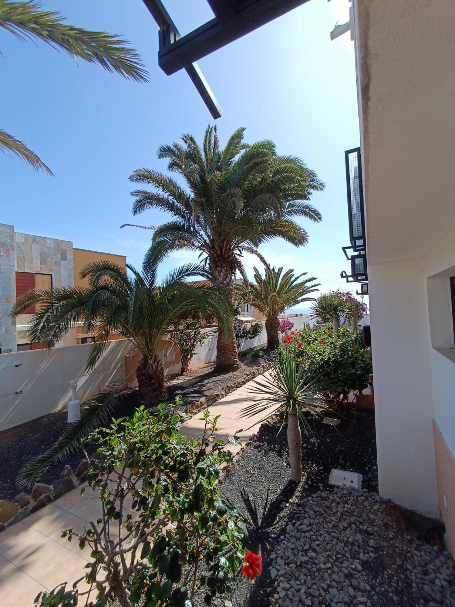 Apartamento Reload Complex Amaya Fuerteventura Коста-де-Антіґуа Екстер'єр фото